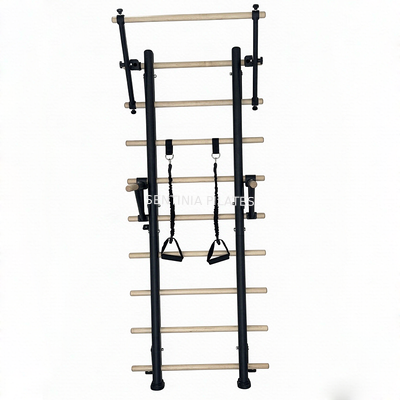 Quality Multi Functional Wall Mounted Pilates Swedish Ladder Bar Heavy Duty OEM factory